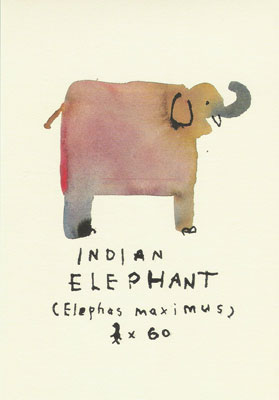 「INDIAN ELEPHANT」表